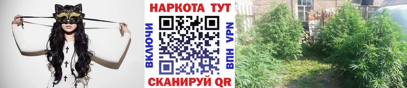 Виды наркотиков купить Октябрьский Cocaine АМФЕТАМИН Каннабис Гашиш