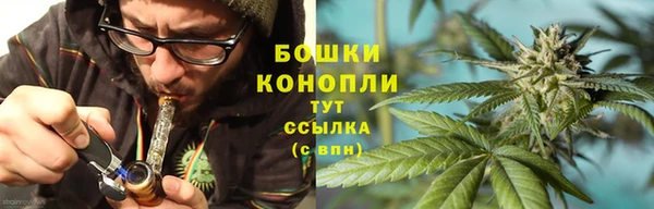 дурь Надым