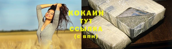 дурь Надым