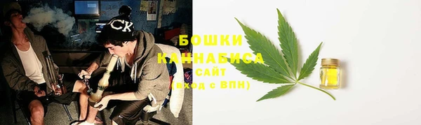 дурь Надым