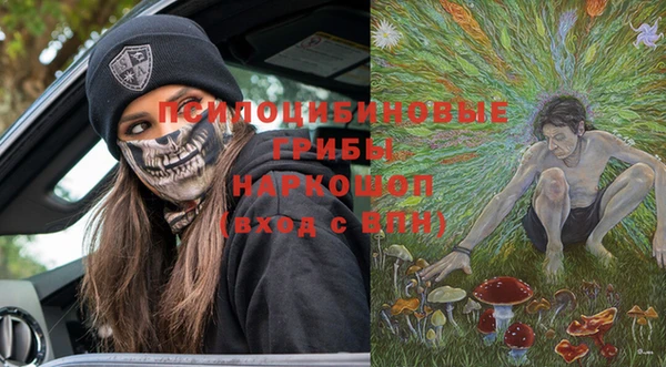 дурь Надым