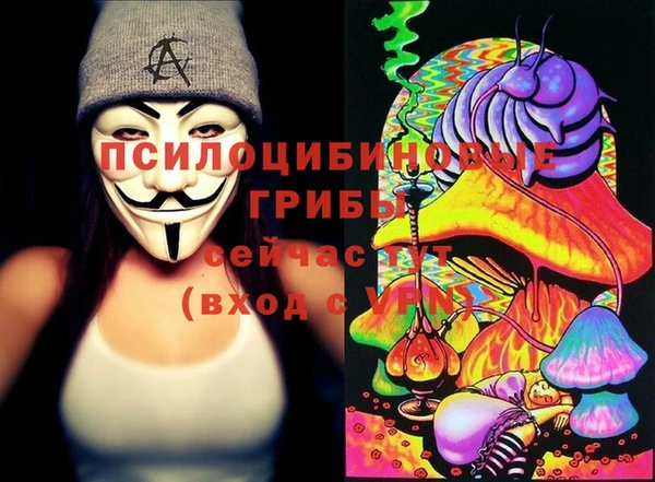 ECSTASY Навашино