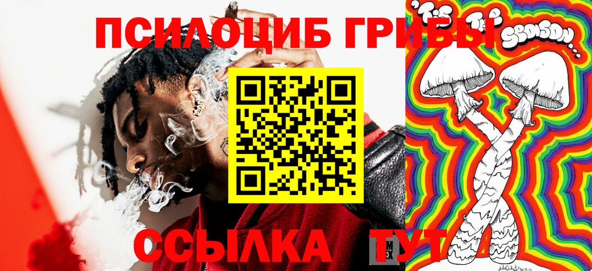 Псилоцибиновые грибы Psilocybine cubensis Октябрьский