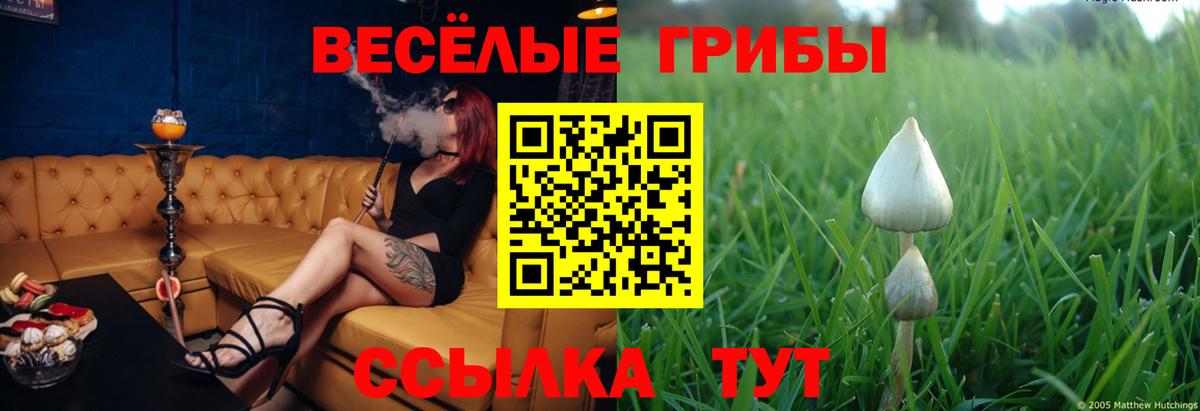 Галлюциногенные грибы мицелий Октябрьский